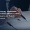 shareholder-disputes